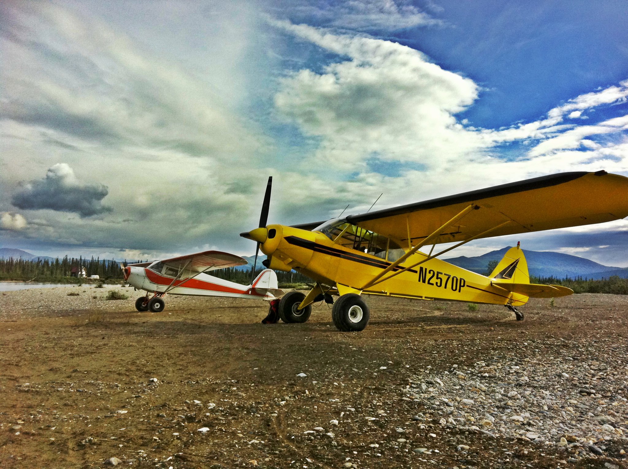 Tailor Craft and Cub